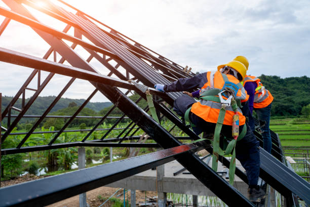 Professional Roofing Contractor in Necedah, WI