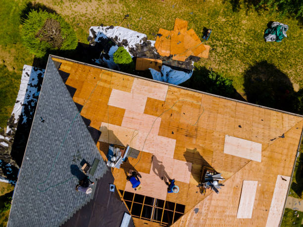 Best Roof Repair Services  in Necedah, WI