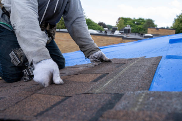 Best Residential Roofing Contractor  in Necedah, WI