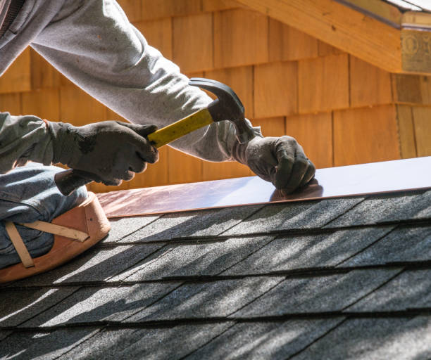 Best Local Roofing Companies  in Necedah, WI
